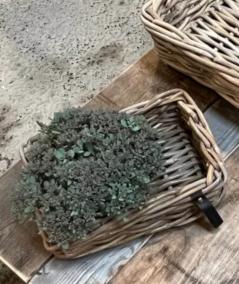 Mini firkantet rattanbakke