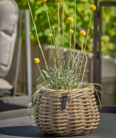 Rund rattan kurv i pære/konisk form - Ø19,5/24