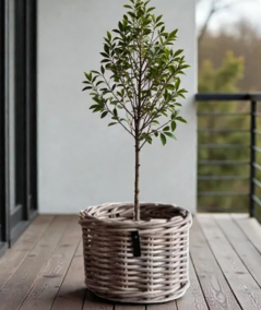 Mini lav rund Rattan kurv