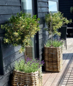 Høj firkantet rattan kurv H66 cm. inkl. pose