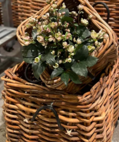 Maxi Low Square Rattan Basket (incl. bag)