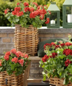 Mini Square Rattan Basket (incl. bag)