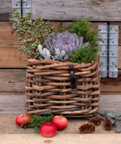 Mini lav firkantet rattan kurv inkl. pose