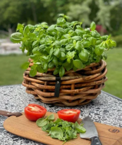 Mini rund rattan kurv inkl. pose