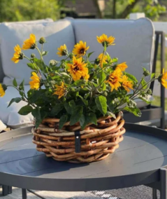 Mini rund rattan kurv inkl. pose