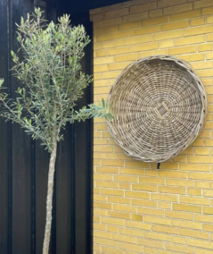 Maxi rund rattan bakke