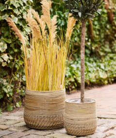 Moro Kurve - Kurve, kubu rattan, natur sæt af 2