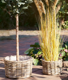 Kalak kurve i rattan, sæt af 2