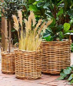 Burton kurve i rattan, sæt af 3