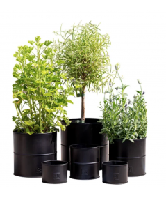 A2 living urtepotte sæt i sort m. 6 stk.