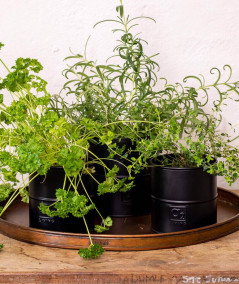 A2 living urtepotte sæt i sort m. 6 stk.