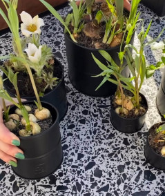 A2 living urtepotte sæt i sort m. 6 stk.