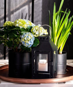 A2 living urtepotte sæt i sort m. 6 stk.