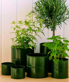 A2 living Olivengrøn uttepotte sæt m. 6 stk.