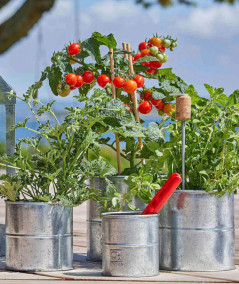 A2 living galvaniseret urtepotte sæt m. 3 stk.