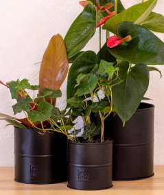 A2 living urtepotte sæt i sort m. 3 stk.
