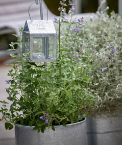 A2 living galvaniseret blomsterspand sæt m. 3 stk.