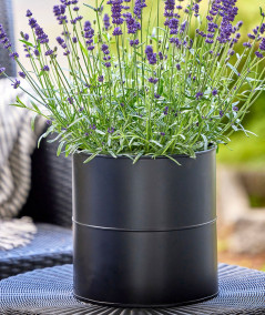 A2 living blomsterspand i sort sæt m. 3 stk