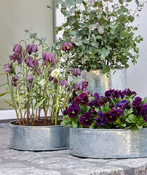 A2 living galvaniseret rund plantebakke sæt m. 2 stk.
