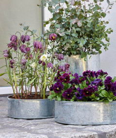 A2 living galvaniseret rund plantebakke sæt m. 2 stk.