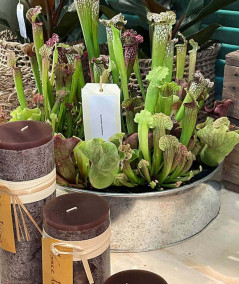 A2 living galvaniseret rund plantebakke sæt m. 2 stk.