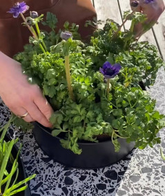 A2 living rund plantebakkesæt i sort m. 2 stk.