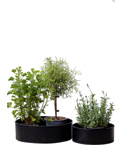 A2 living rund plantebakkesæt i sort m. 2 stk.