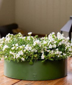 A2 living rund plantebakkesæt i olivengrøn m. 2 stk.