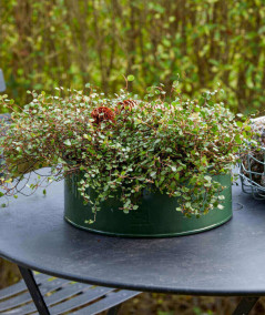 A2 living rund plantebakkesæt i olivengrøn m. 2 stk.