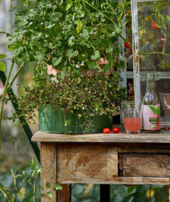 A2 living rund plantebakkesæt i olivengrøn m. 2 stk.