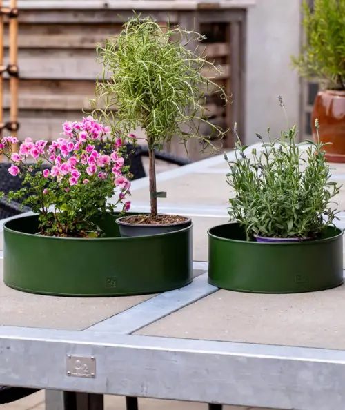 A2 living rund plantebakkesæt i olivengrøn m. 2 stk.