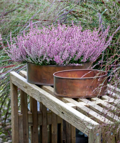 A2 living rund plantebakkesæt i kobber look 2 stk.