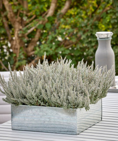 A2 living galvaniseret firkantet plantebakke sæt m. 3 stk.