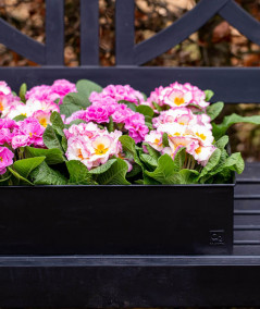 A2 living rektangulær plantebakke i sort sæt m. 3 stk.