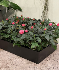 A2 living rektangulær plantebakke i sort sæt m. 3 stk.