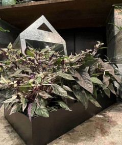 A2 living rektangulær plantebakke i sort sæt m. 3 stk.