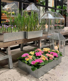 A2 living galvaniseret rektangulær plantebakke sæt m. 3 stk.