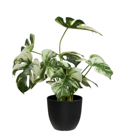 Kunstig monstera plante i grøn