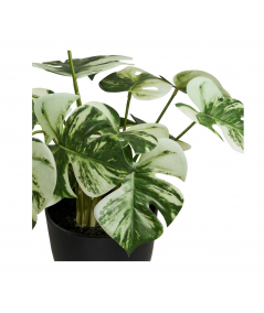 Kunstig monstera plante i grøn
