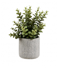 Kunstig succulent med cementpotte i grøn/grå