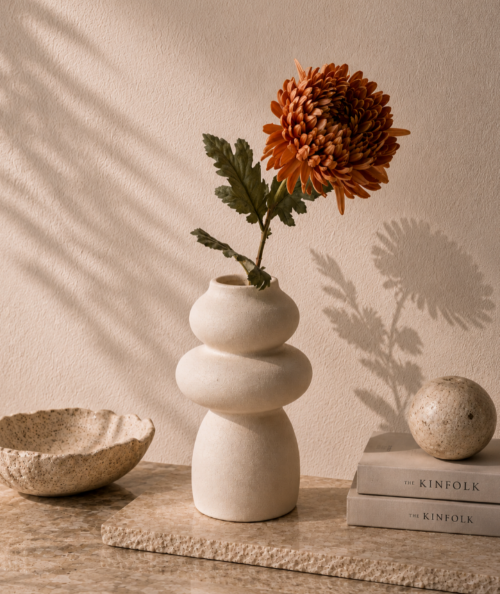 Chrysanthemum. gammel rosa