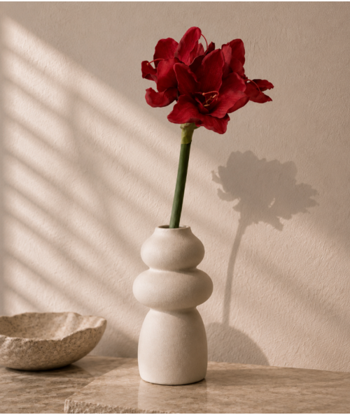 Amaryllis rød