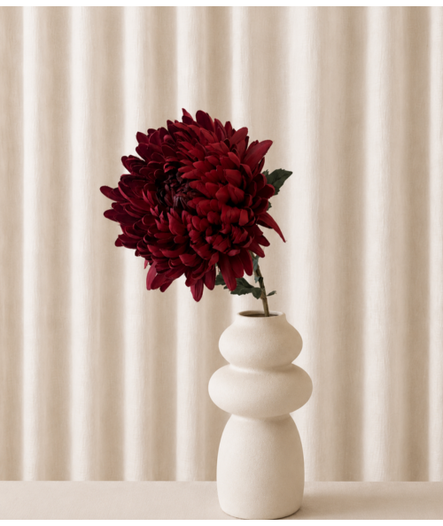 Chrysanthemum rød