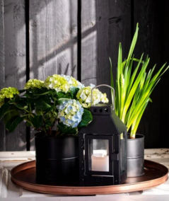 A2 Living runde dekorationsbakker i kobber-look – 4 stk.