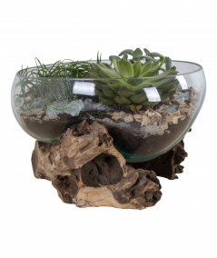 San Marino Waterdrop - Vanddråbe i glas med træfod ø26xh20 cm